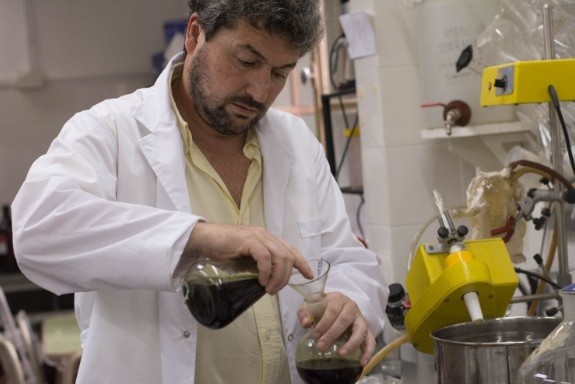 La Universidad Nacional de La Plata aprobó la cátedra de Cannabis y Salud | Actualidad