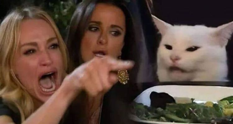 La historia detrás del meme del gato blanco que se volvió viral en las redes sociales | Redes