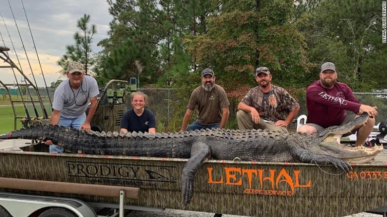 Atraparon en Georgia al cocodrilo más grande de la historia | Internacionales