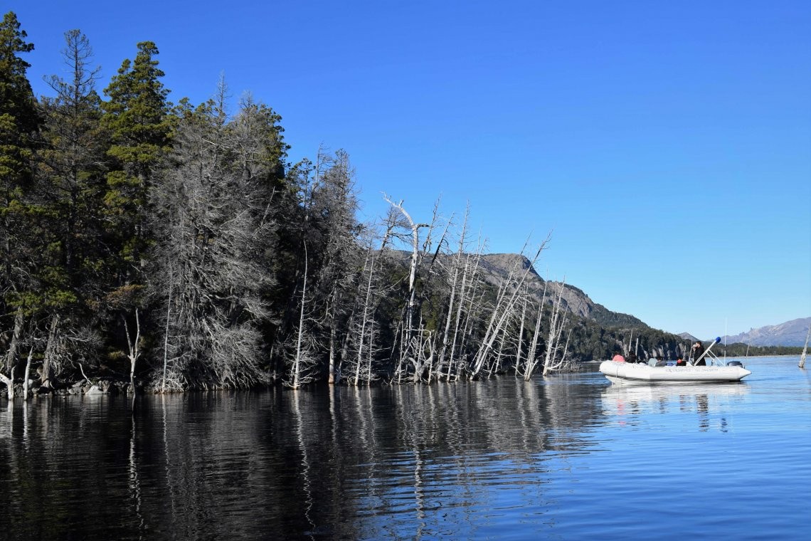 Un científico explica cómo prevenir el posible tsunami en un lago de la Patagonia | Actualidad