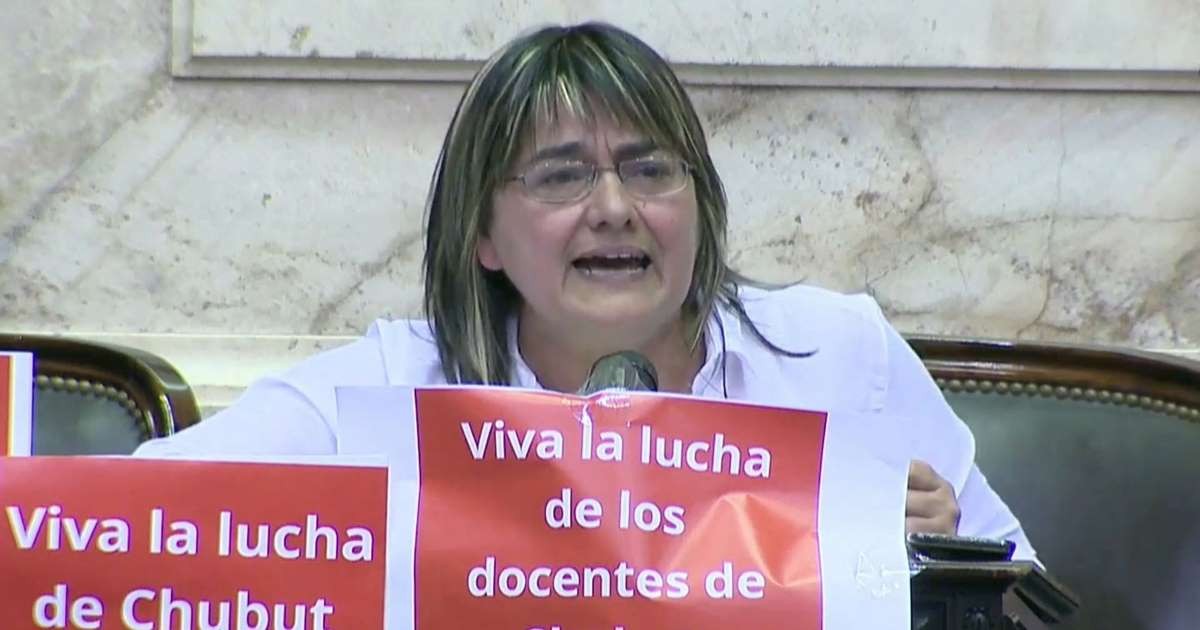 Quién es la única diputada que no voto a favor de la emergencia alimentaria | Política y economía