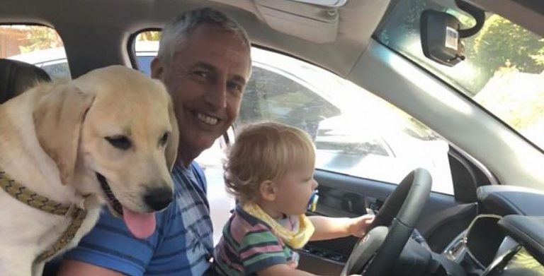 Video: el emotivo reencuentro de Marley y Mirko con el perro Bailey | Espectáculos