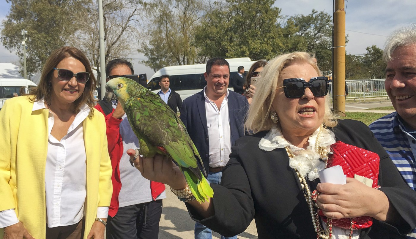 Elisa Carrió pidió liberar a Julio De Vido: "Aunque es el mayor ladrón de la Argentina" | Política y economía