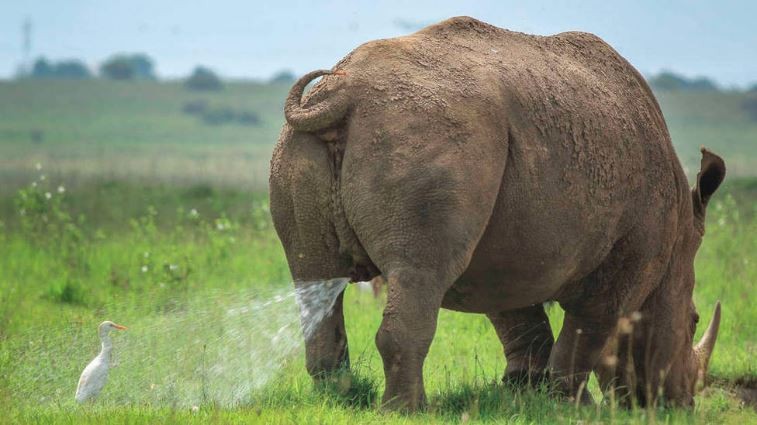 Las fotografías de animales más curiosas y divertidas | Curiosidades