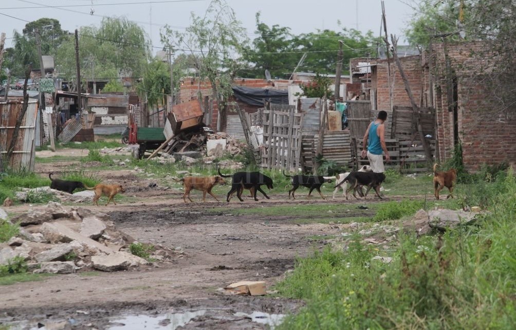 La pobreza alcanzó al 35,4 por ciento de las personas en el primer semestre de 2019 | Política y economía