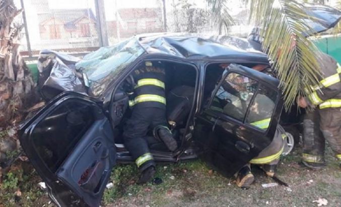 Cuatro jóvenes murieron al chocar el auto en el que viajaban contra una palmera en Bernal | Actualidad