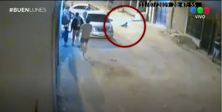 Video: un nene quedó debajo de un auto y se salvó de milagro | Actualidad