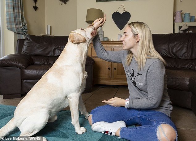 La historia de Freddie, el perro que salva a su dueña que sufre convulsiones hasta 100 veces al día | Curiosidades