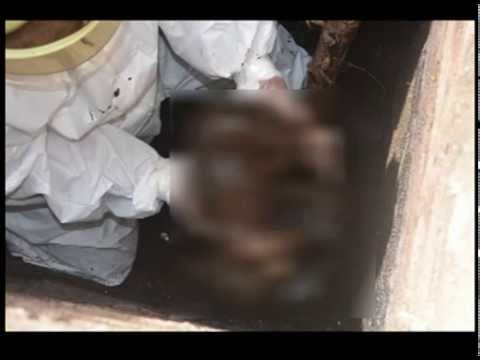 Conmoción en Tartagal: la mató y la tiró en una letrina | Actualidad