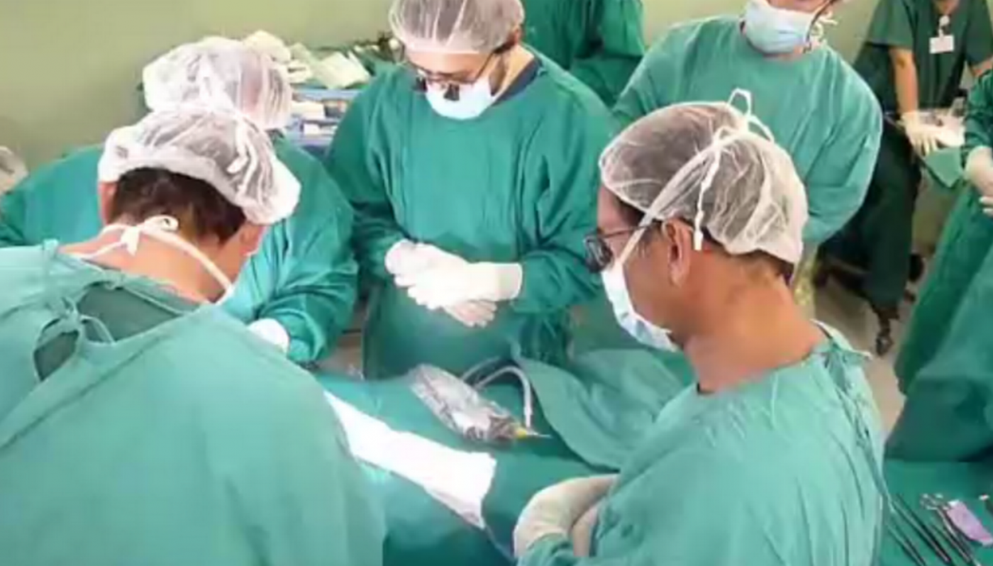 Lo confundieron con otro paciente y le trasplantaron un riñón por error | Internacionales