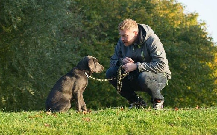 Estudio descubrió que los perros pueden reconocer una misma palabra aunque sea pronunciada por desconocidos | Curiosidades