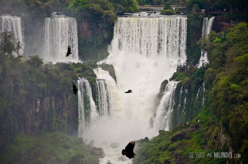Bolsonaro quiere privatizar tres parques nacionales | Internacionales
