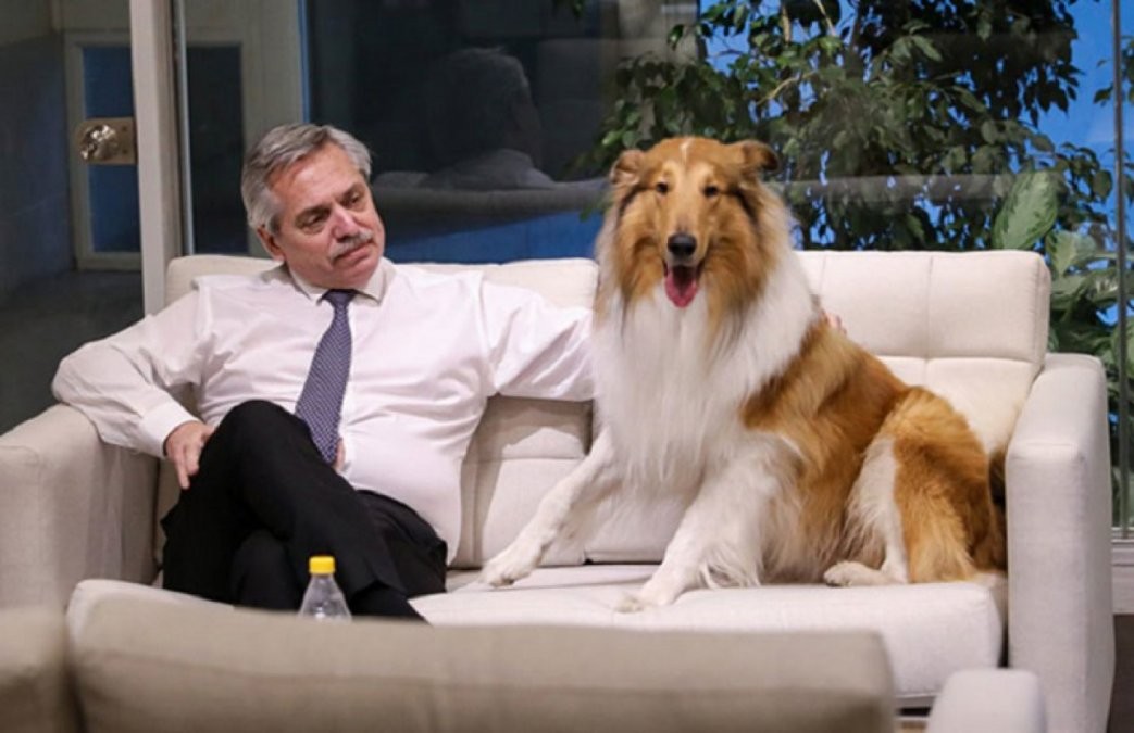 Se separaron Alberto Fernández y Dylan | Política y economía