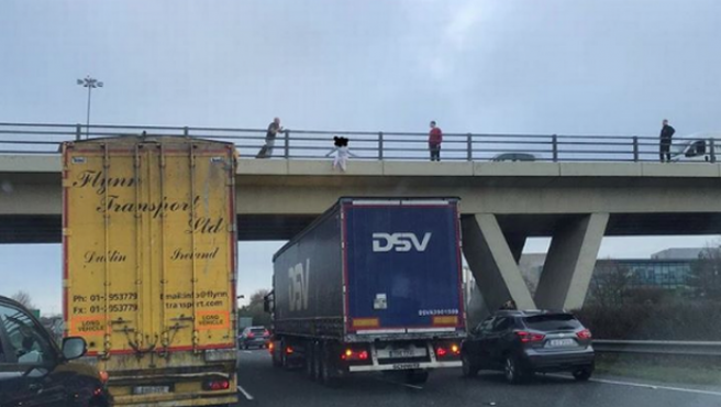 Detuvo su camión y le salvó la vida a una mujer que iba a tirarse de un puente | Internacionales