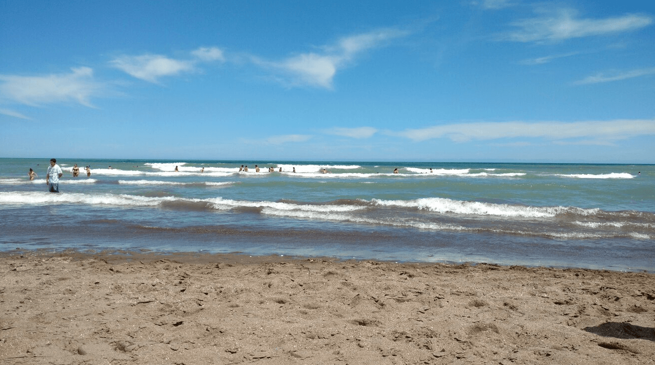 Pánico entre los turistas: aparecieron tiburones en Monte Hermoso | Actualidad