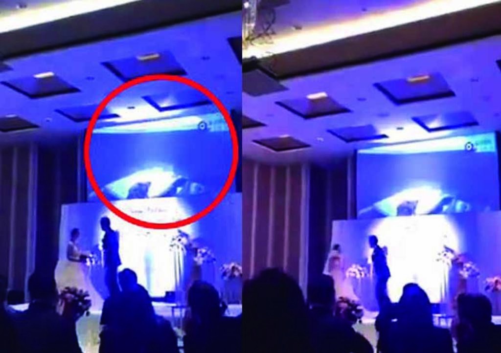 VIDEO: un hombre mostró en pleno casamiento un video íntimo de su novio con el cuñado | Curiosidades