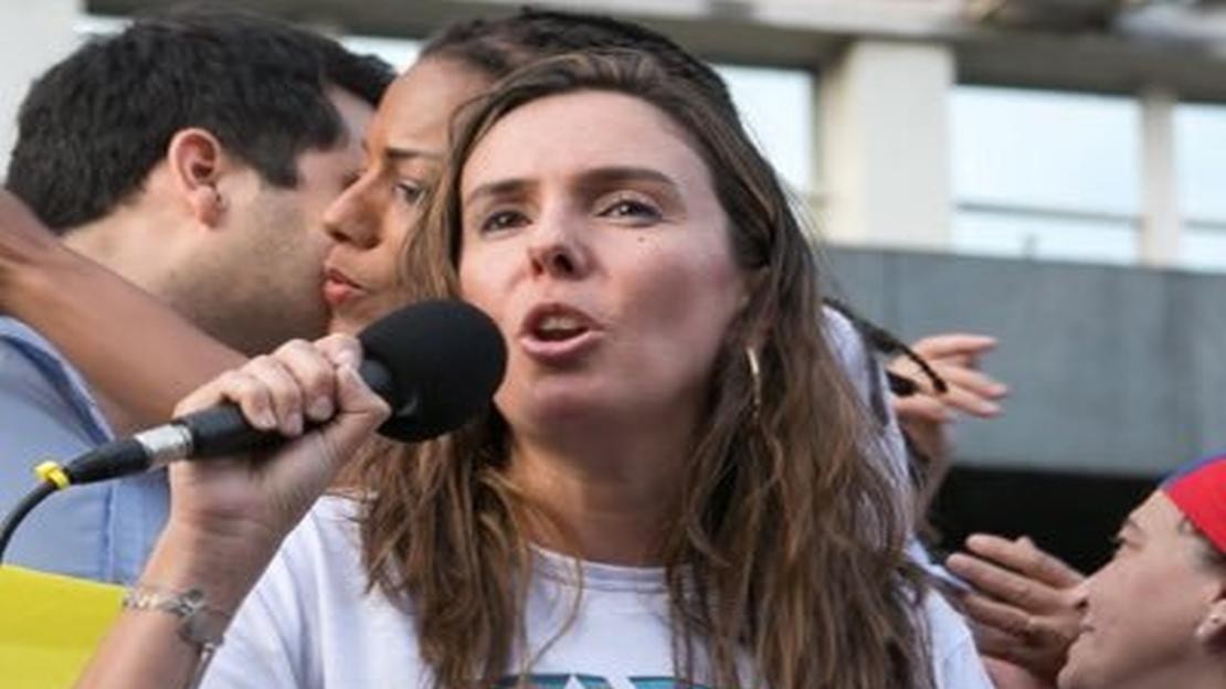 El Gobierno le quitó las cartas credenciales a la embajadora de Guaidó en Argentina | Política y economía