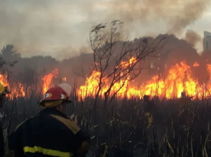 Buenos Aires: el viento hace dificultosa la tarea en el incendio de la Reserva Ecológica | Actualidad