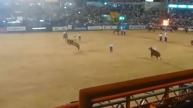 VIDEO: jineteada trágica, el accidente de Cossutta que le costó la vida | Córdoba