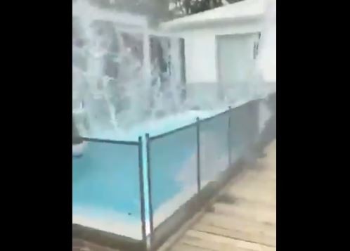 Video: un cordero cayó desde un helicóptero en la pileta de Lara Bernasconi en Punta del Este | Actualidad