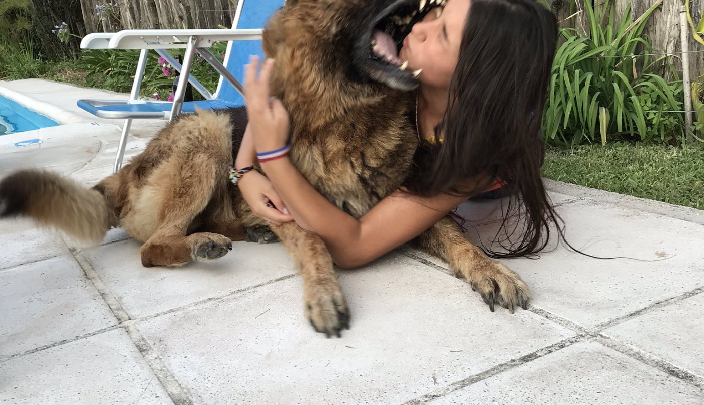 Quiso hacer una sesión de fotos con un perro y terminó de la peor manera | Actualidad