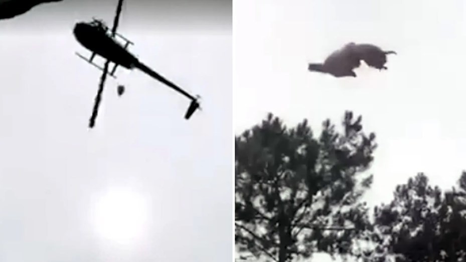 "Vengan a comer un cordero que va a caer del cielo": el mensaje de Lara Bernasconi a sus amigos | Actualidad