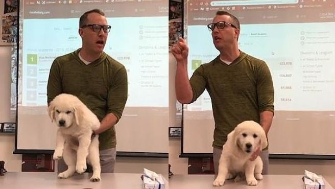 La amenaza de un profesor a sus alumnos: matar a un cachorro si no ganan un concurso | Redes