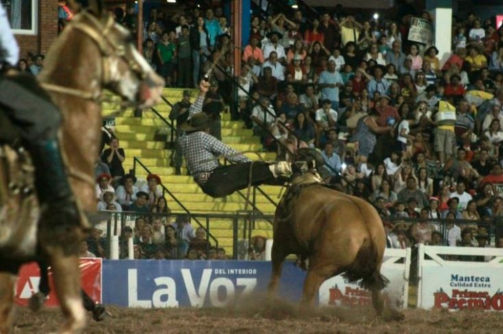 Jesús María: dos jinetes fueron internados de urgencia al sufrir heridas en el campo de doma | Córdoba