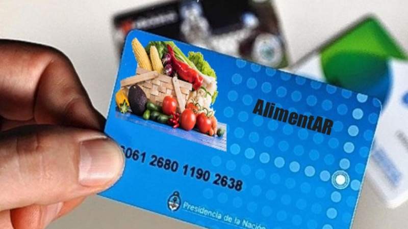 Comienza el plan "Argentina contra el Hambre" con la distribución de 124.100 tarjetas Alimentar en el Conurbano | Política y economía