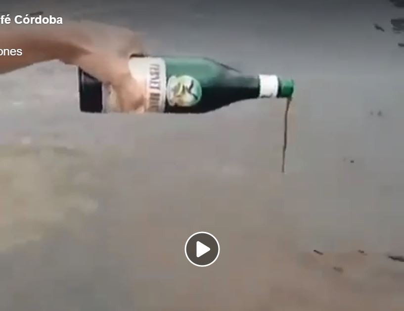 VIRAL: Mira como toman fernet los "peces" en el río | Redes