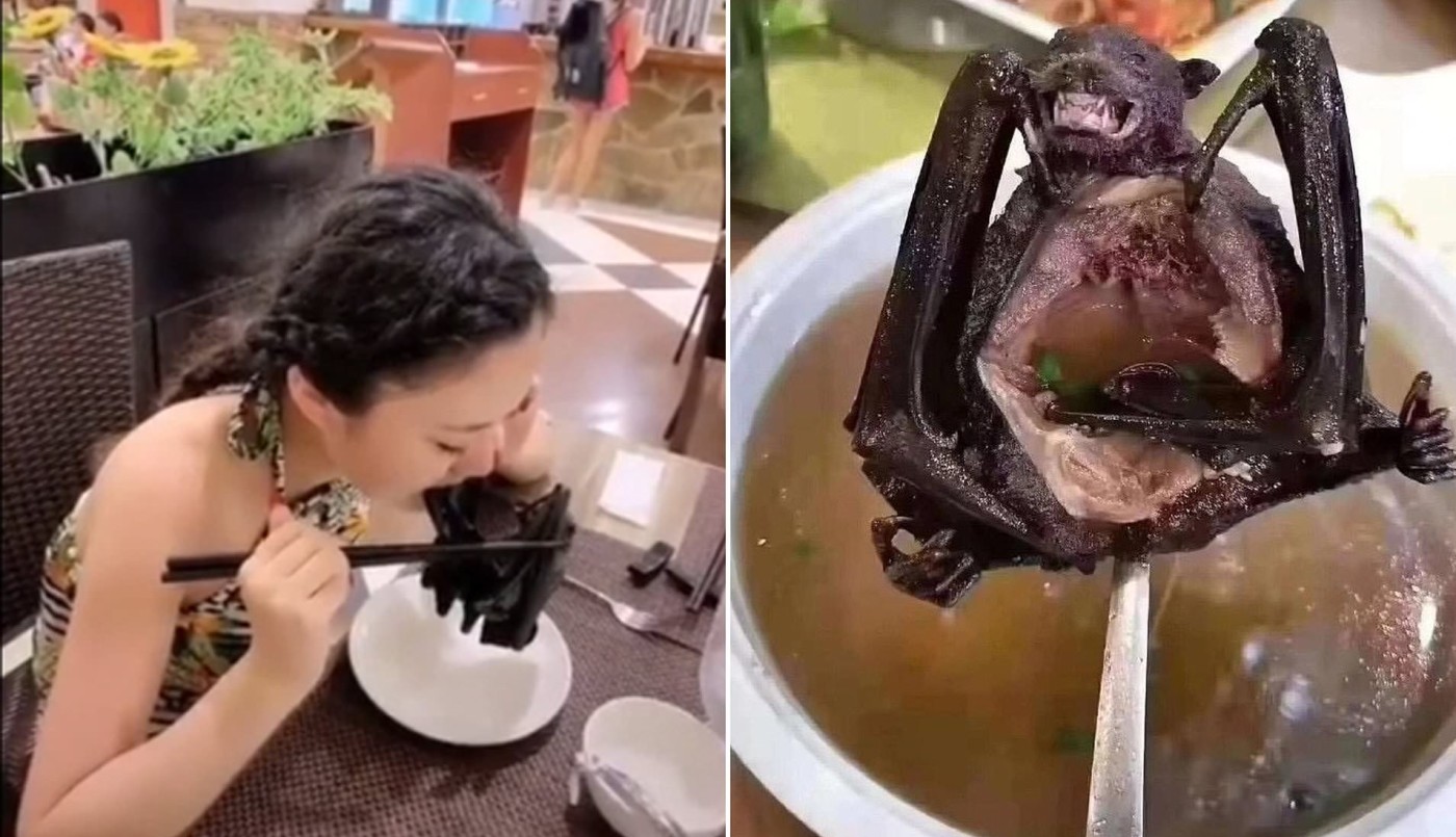 Video: una mujer se come un murciélago, pese a las alarmas por el coronavirus | Internacionales