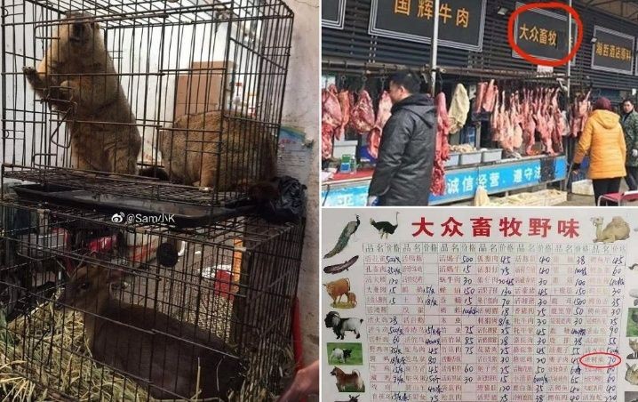 Fotos impactantes: así es el mercado chino en el que se originó el coronavirus | Internacionales