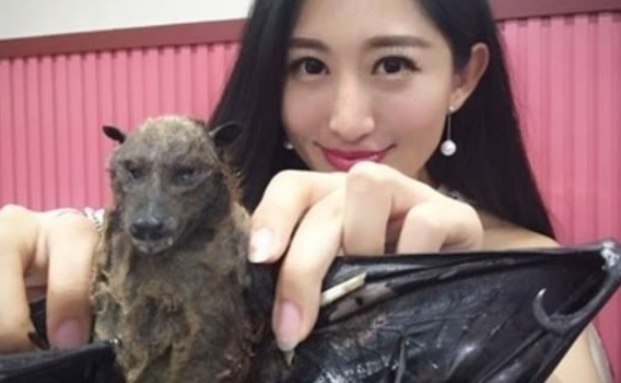 Análisis genéticos en Italia apuntan al murciélago como origen del coronavirus | Internacionales