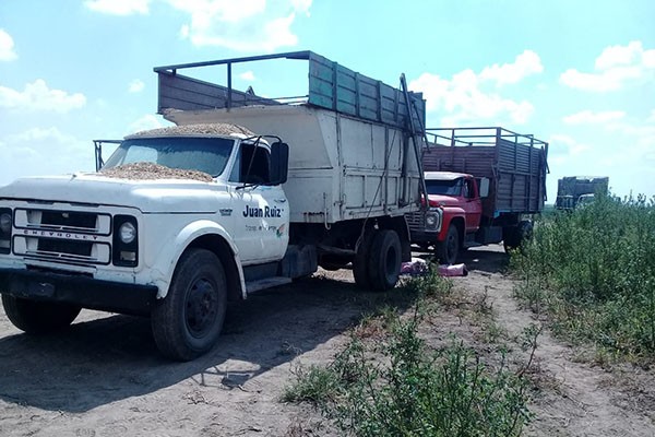 Adolescente de 16 años murió aplastado por un camión | Córdoba