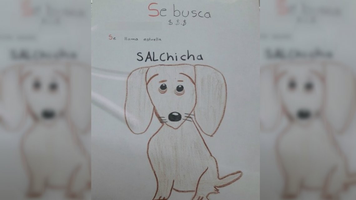 Se le perdió su perrita y como no tenía foto, hizo un dibujo | Actualidad