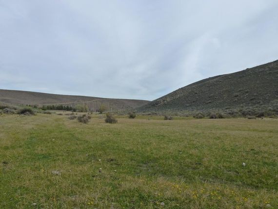 Asaltan a un contingente de turistas italianos que visitaba Chubut | Actualidad