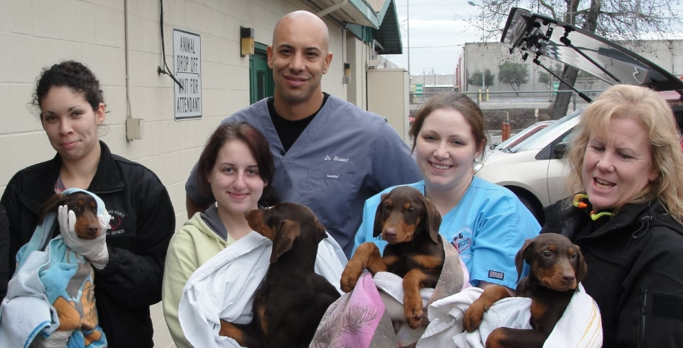 La historia del veterinario que atiende gratis a las mascotas de las personas sin techo | Curiosidades
