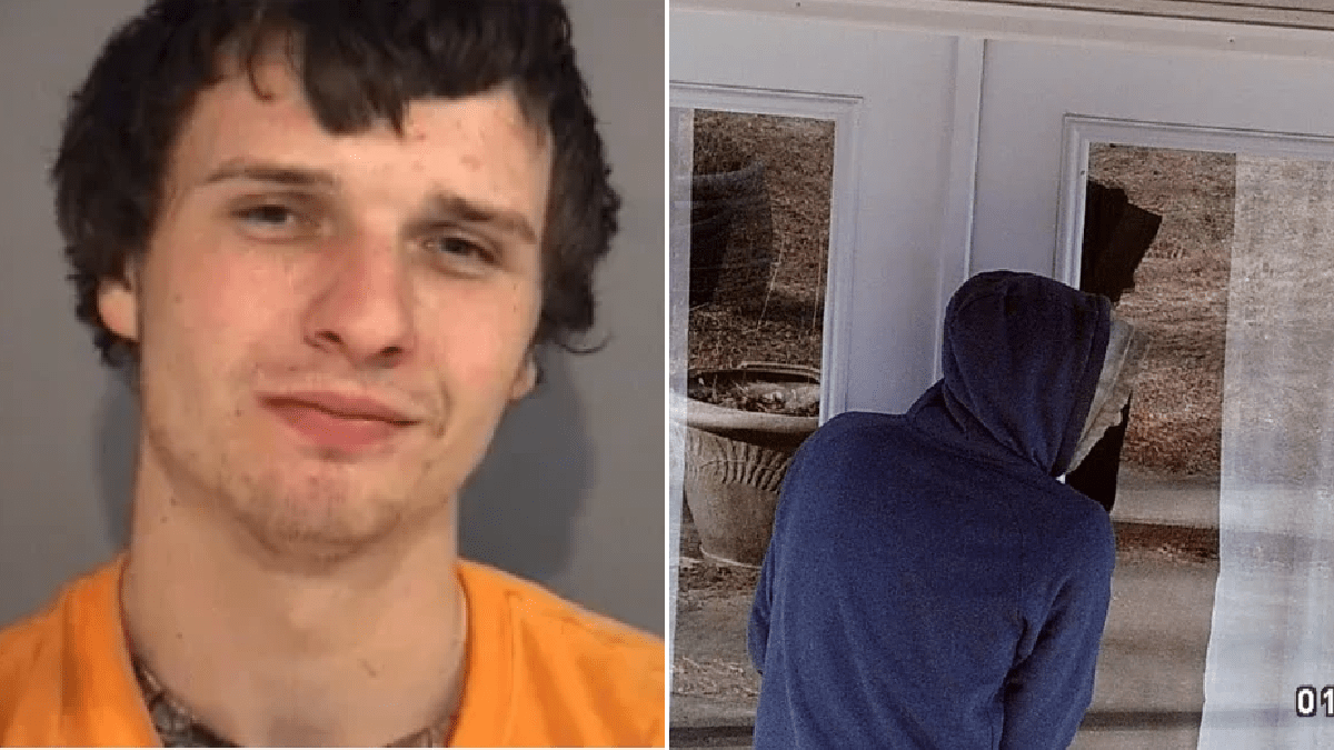 Revisó las cámaras de seguridad de su casa y descubrió que su amigo abusó de su perra embarazada | Curiosidades