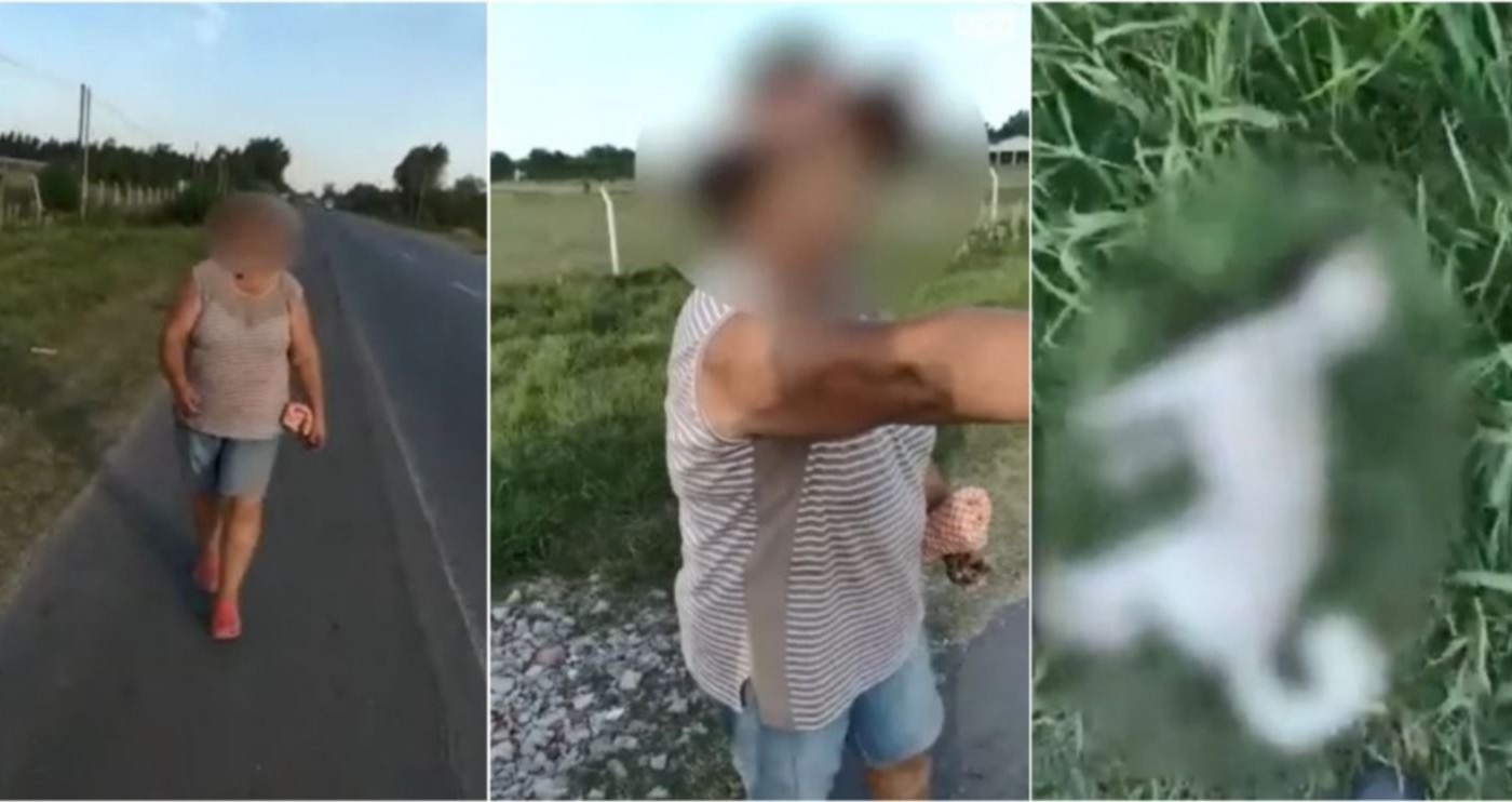 Videos: una mujer estranguló a un perro caniche que la seguía por la ruta | Actualidad