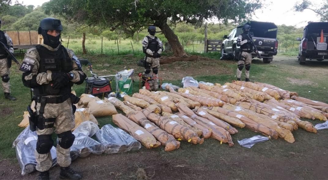 Un detenido por millonario cultivo de marihuana en un campo de Las Cañadas | Córdoba