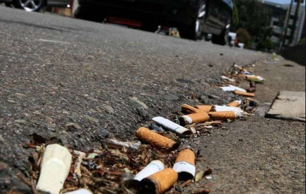 Presentaron el proyecto para multar a quienes arrojen colillas de cigarrillos en la vía pública | Política y economía
