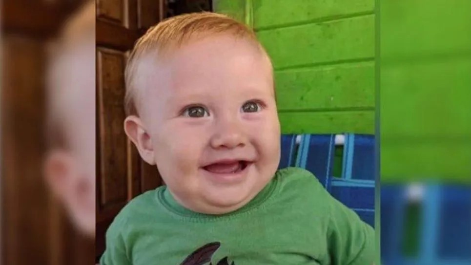 Murió un bebé de ocho meses luego de ingerir frutos de un ligustro | Actualidad