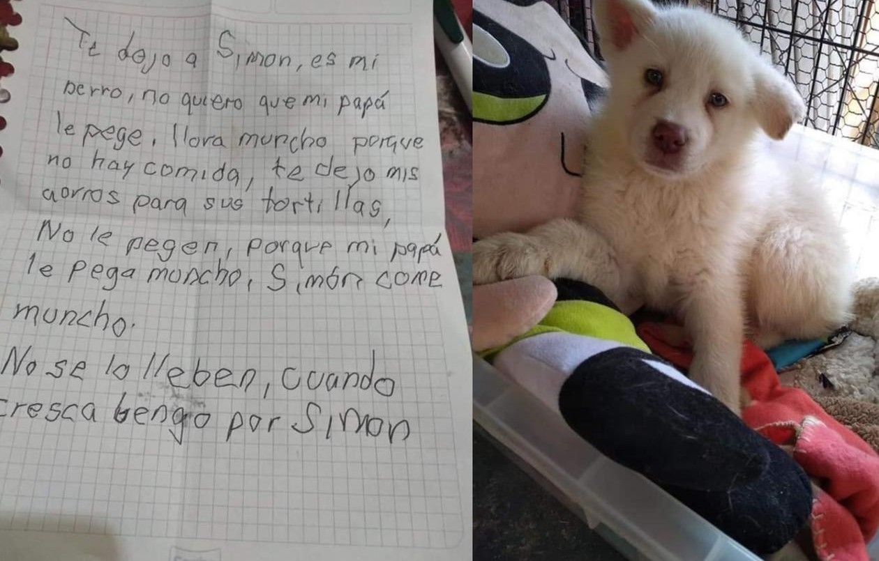 Un nene abandonó a su perrito junto a sus ahorros para salvarlo de los golpes de su padre | Curiosidades