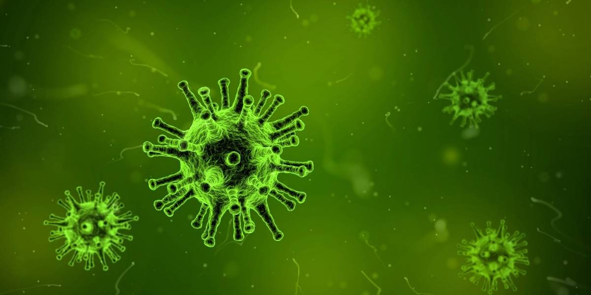 Coronavirus: investigan por qué se contagia tan rápido | Actualidad