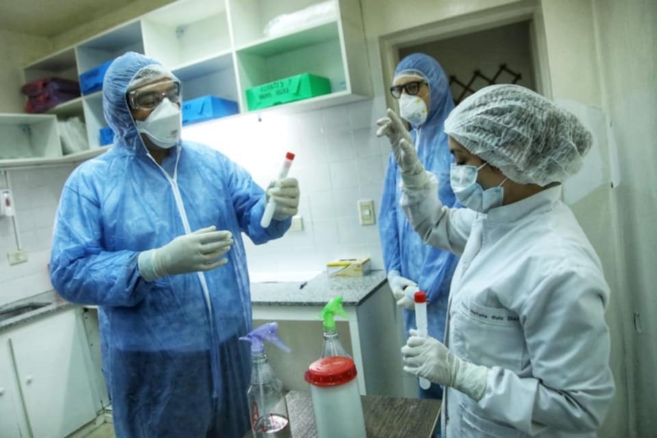 Coronavirus en Argentina: el Gobierno anunció la llegada de 31 mil reactivos para hacer pruebas | Actualidad
