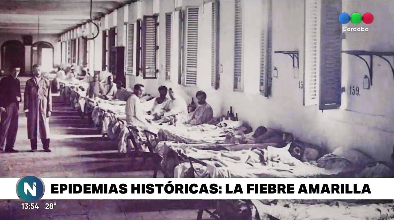 Epidemias históricas: Fiebre amarilla | Informes especiales