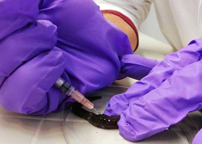 El avance en tratamientos contra el coronavirus: plasma de curados, fármacos, anticuerpos monoclonales y hemoglobina de un gusano marino | Actualidad