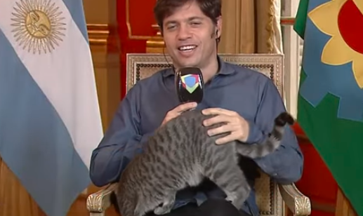 Video: la gatita que apareció en vivo en el escritorio de Axel Kicillof | Política y economía
