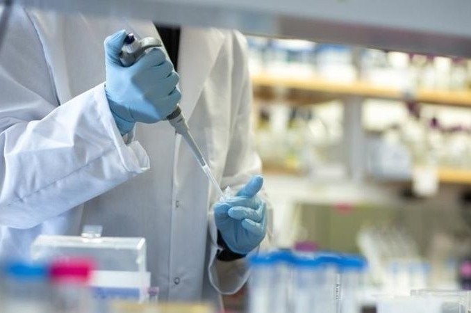 Coronavirus en Argentina: se realizarán testeos rápidos para detectar asintomáticos | Actualidad