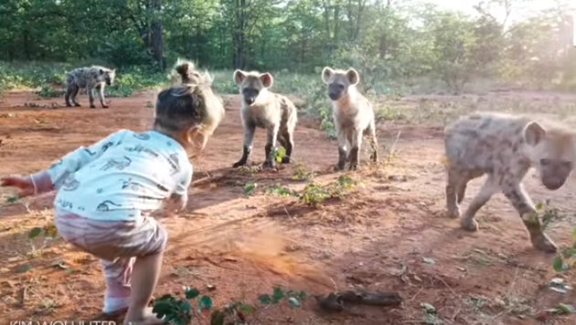 Video: la increíble nena de 2 años que juega con una manada de hienas | Curiosidades